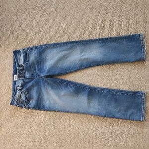 Hudson Ginny Straight Crop Jeans